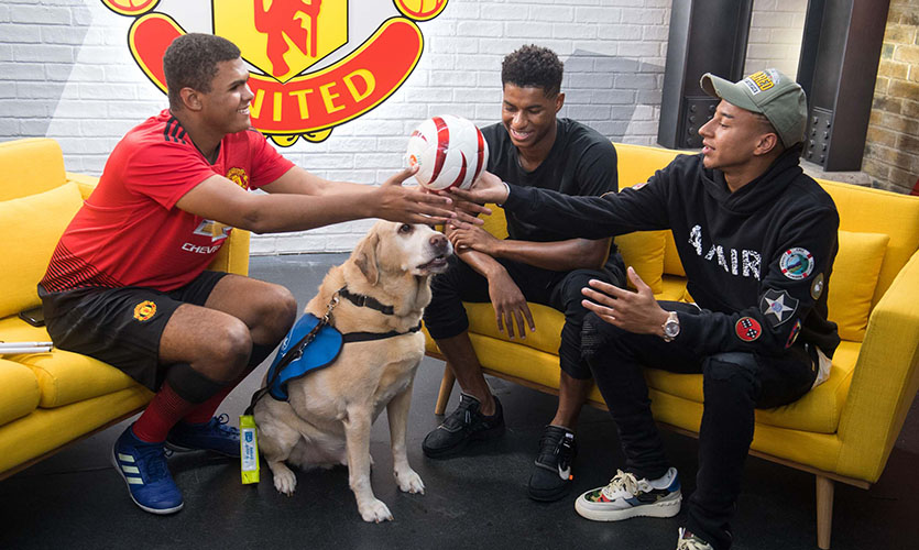 Rainbow is sat on a yellow sofa in Manchester United Football kit with his arms outstretched passing a white football to professional players Marcus Rashford and Jesse Lingard, there is also a golden retriever guide dog sat on the flood between Rainbow and Marcus 