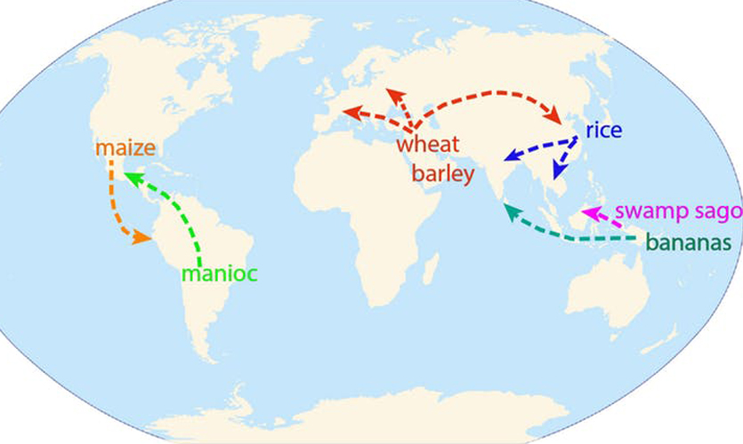 Map of the world illustrating the dispersal of crops such as wheat, barley and bananas