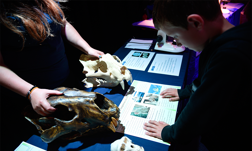Hands-on exhibits helped bring science to life.