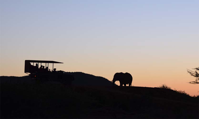 Tourists observe an elephant at dusk. Isabelle Szott