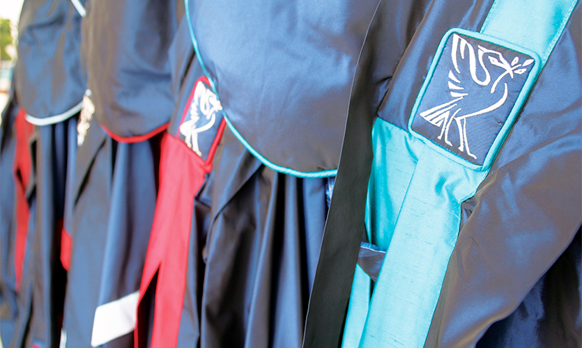 Close up shot of Fellowship gowns