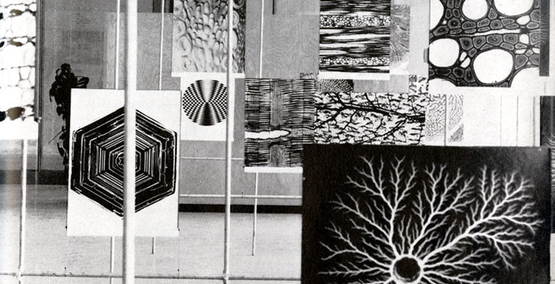 György Kepes exhibition at the Tate
