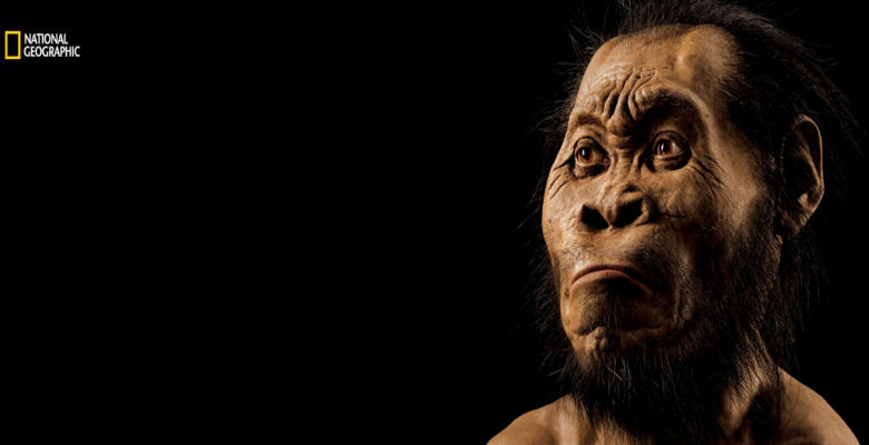 New Species of human relative discovered in South African cave 