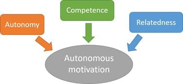 The SDT believes that autonomy, competence and relatedness make up autonomous motivation
