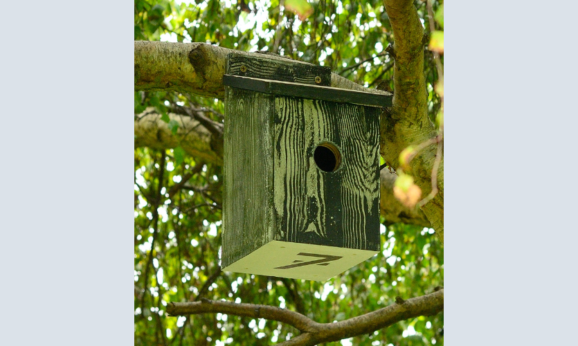 A wooden birdbox 