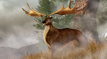 Mystery of the world's largest antlers