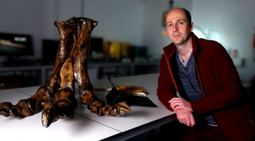 Dinosaur footprint expert to feature in Channel 5 series fronted by Stephen Fry