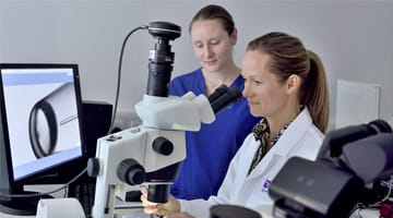 How to become a Clinical Embryologist: why an MSc could be the key