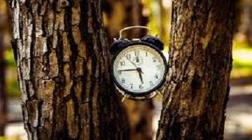 The Conversation: How nature can alter our sense of time