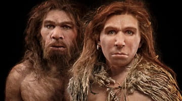 The Secrets of the Neanderthals