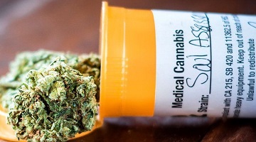 Cost and stigma tarnish experience of medicinal cannabis users