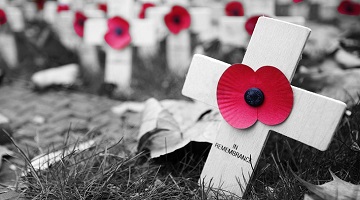 Remembrance Day: War Widows project heads to London 