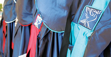 Image of ceremony robes