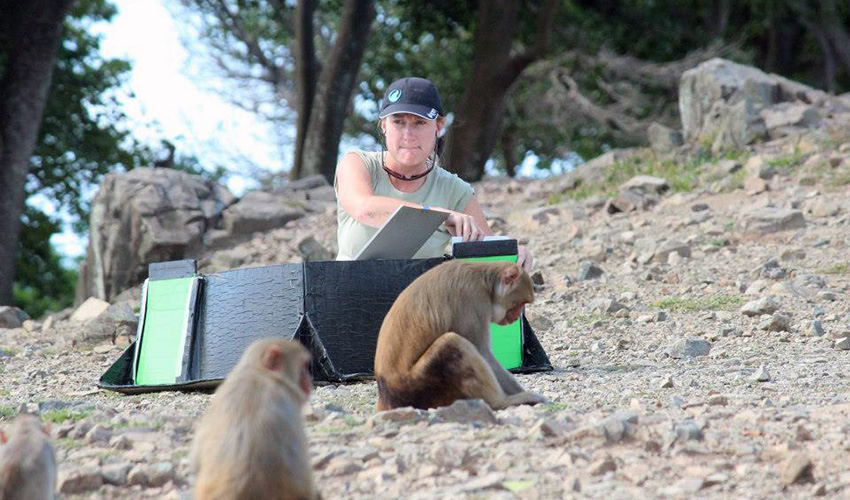 Emily Bethell studying macaques in the field