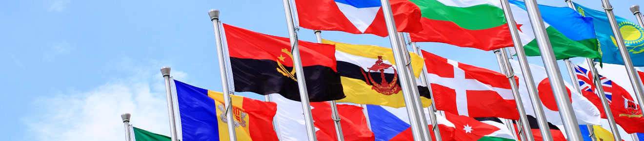 Image of flags from nations around the world against a backdrop of blue sky.