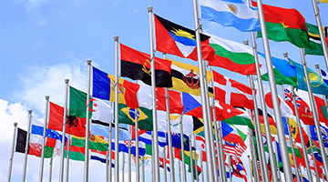 Various world flags on flagpoles