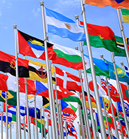 Various world flags on flagpoles