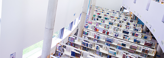 Image of books and shelves taken from above