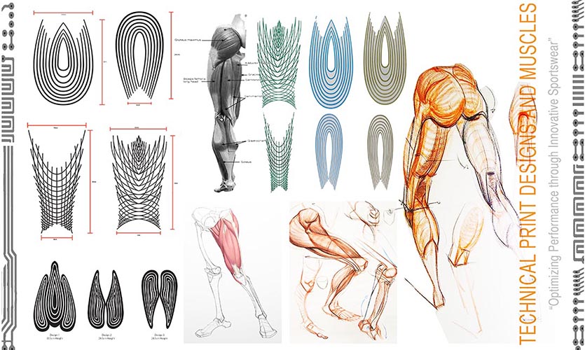 Images leg muscles in a variety of colours and stances.