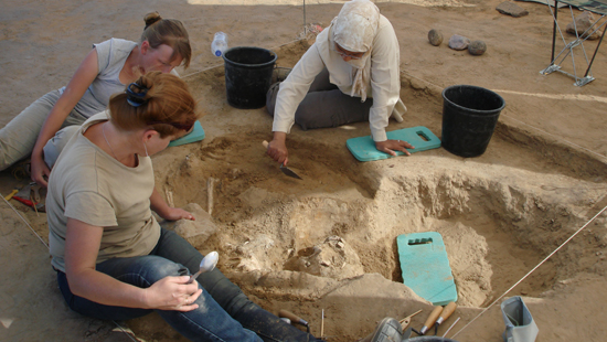 Academic staff on an excavation